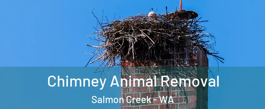  Chimney Animal Removal Salmon Creek - WA