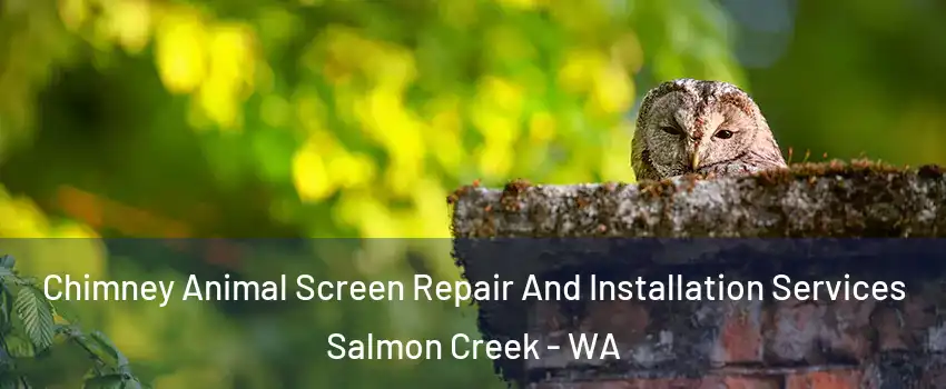  Chimney Animal Screen Repair And Installation Services Salmon Creek - WA