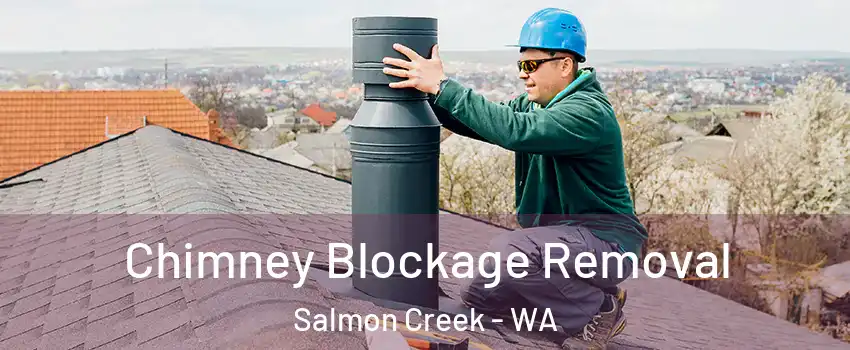  Chimney Blockage Removal Salmon Creek - WA