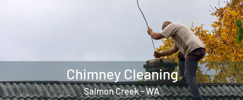  Chimney Cleaning Salmon Creek - WA