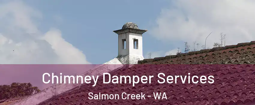 Chimney Damper Services Salmon Creek - WA