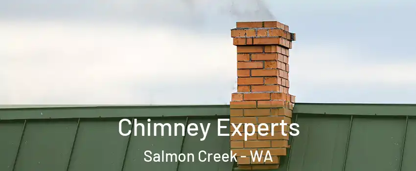  Chimney Experts Salmon Creek - WA