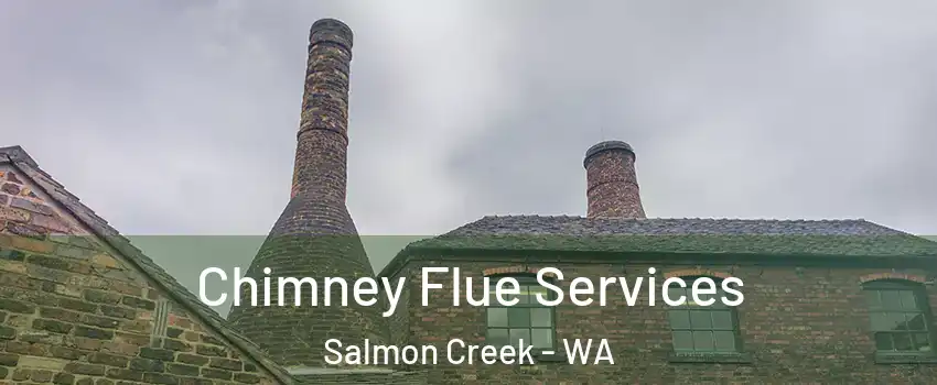  Chimney Flue Services Salmon Creek - WA