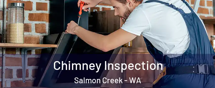  Chimney Inspection Salmon Creek - WA