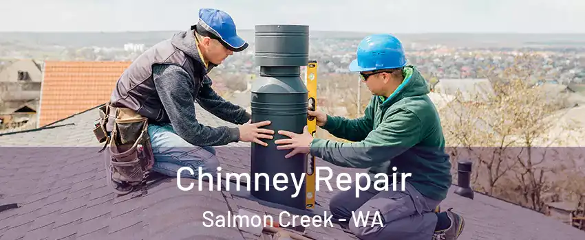  Chimney Repair Salmon Creek - WA