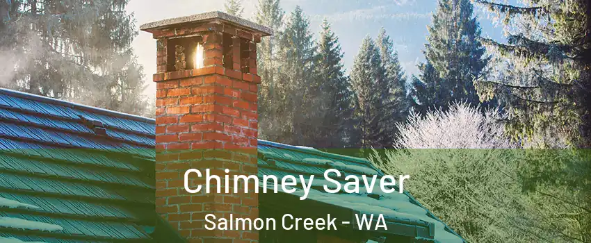  Chimney Saver Salmon Creek - WA