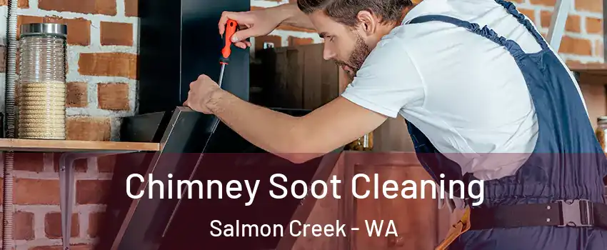  Chimney Soot Cleaning Salmon Creek - WA