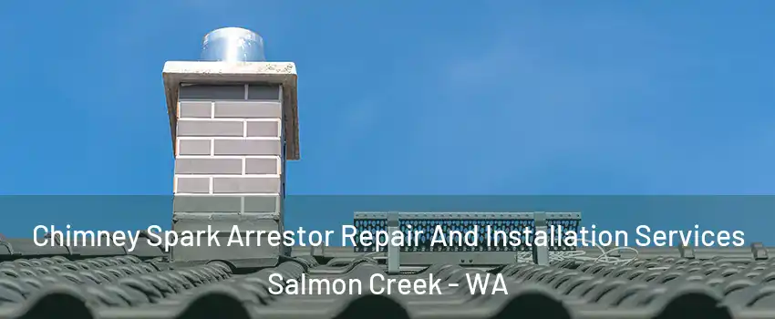  Chimney Spark Arrestor Repair And Installation Services Salmon Creek - WA