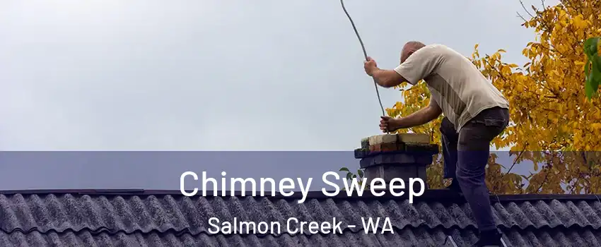  Chimney Sweep Salmon Creek - WA