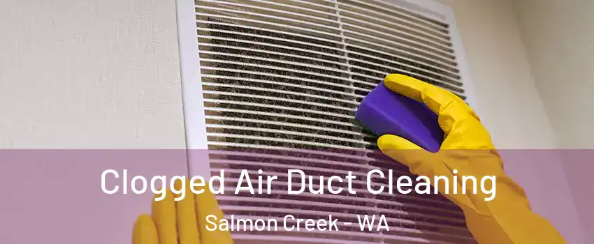  Clogged Air Duct Cleaning Salmon Creek - WA