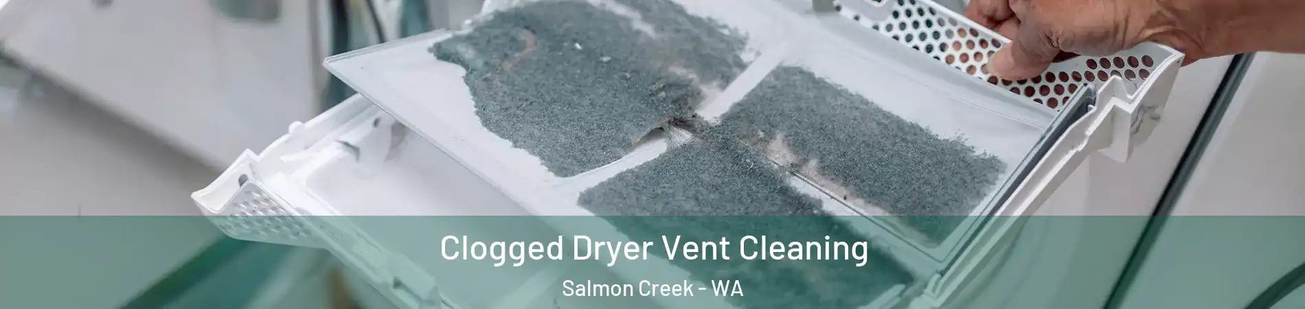  Clogged Dryer Vent Cleaning Salmon Creek - WA