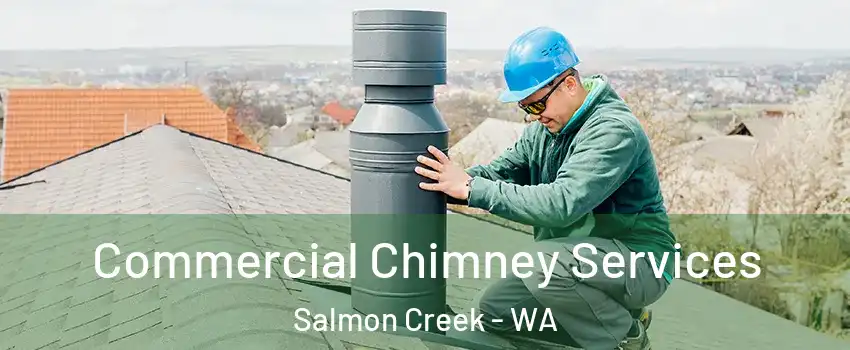  Commercial Chimney Services Salmon Creek - WA