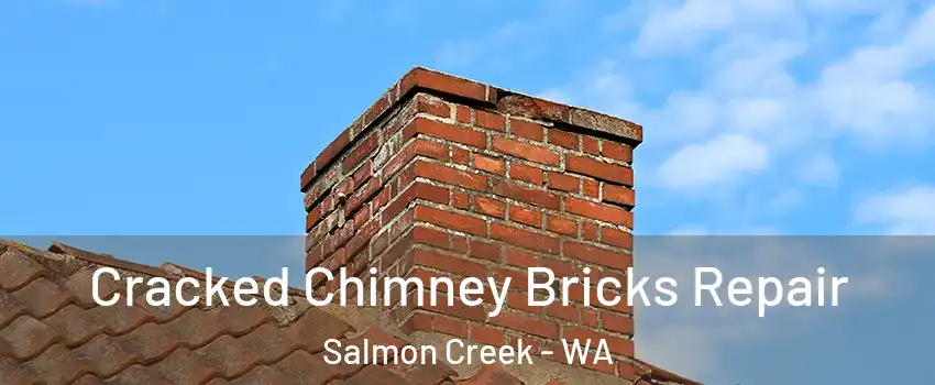  Cracked Chimney Bricks Repair Salmon Creek - WA