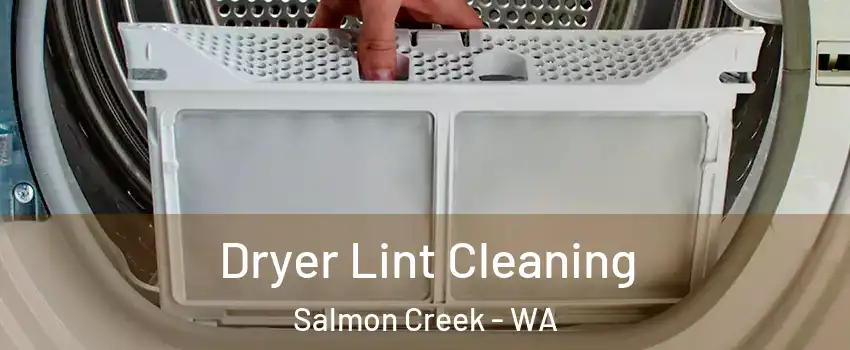  Dryer Lint Cleaning Salmon Creek - WA