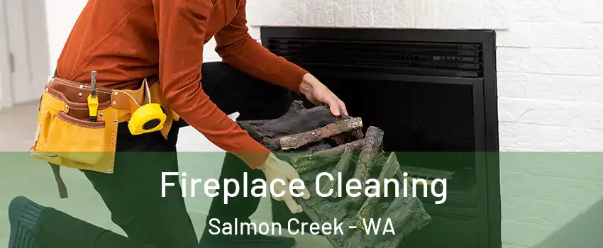  Fireplace Cleaning Salmon Creek - WA