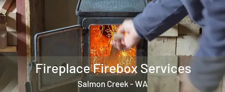  Fireplace Firebox Services Salmon Creek - WA