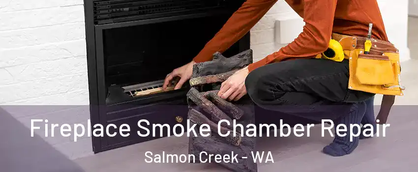  Fireplace Smoke Chamber Repair Salmon Creek - WA