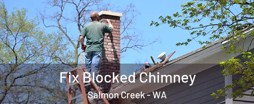  Fix Blocked Chimney Salmon Creek - WA
