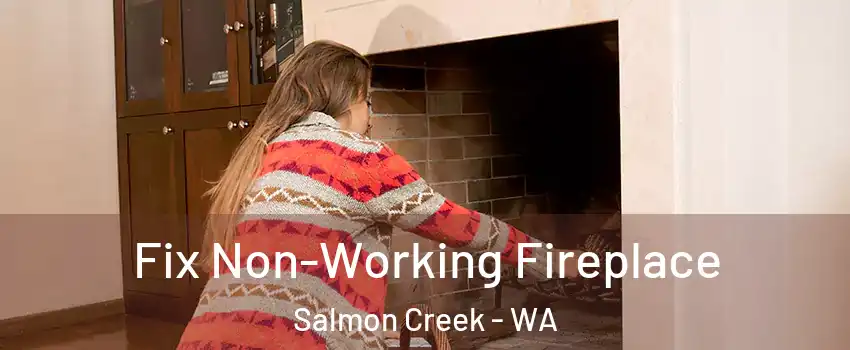  Fix Non-Working Fireplace Salmon Creek - WA