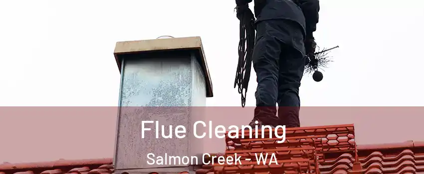  Flue Cleaning Salmon Creek - WA