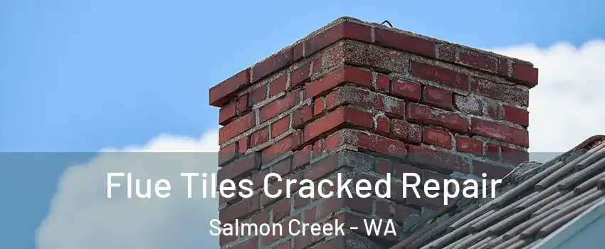  Flue Tiles Cracked Repair Salmon Creek - WA