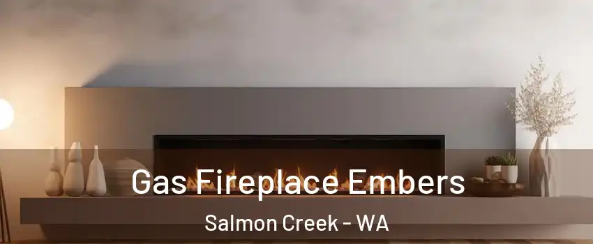  Gas Fireplace Embers Salmon Creek - WA