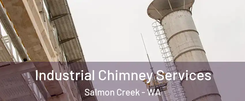  Industrial Chimney Services Salmon Creek - WA