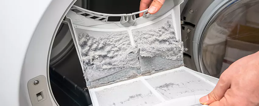 Best Dryer Lint Removal Company in Salmon Creek, Washington