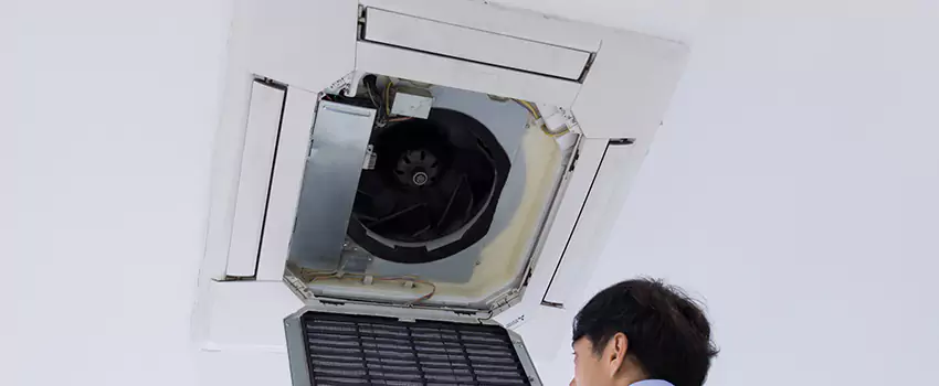 Benefits of Professional Air Duct Cleaning in Salmon Creek, Washington