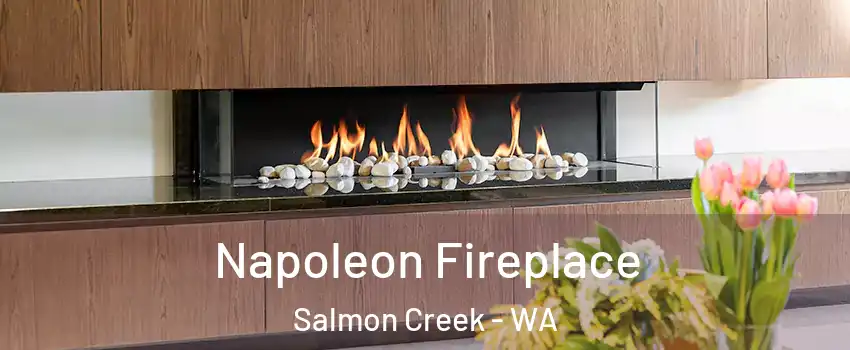  Napoleon Fireplace Salmon Creek - WA