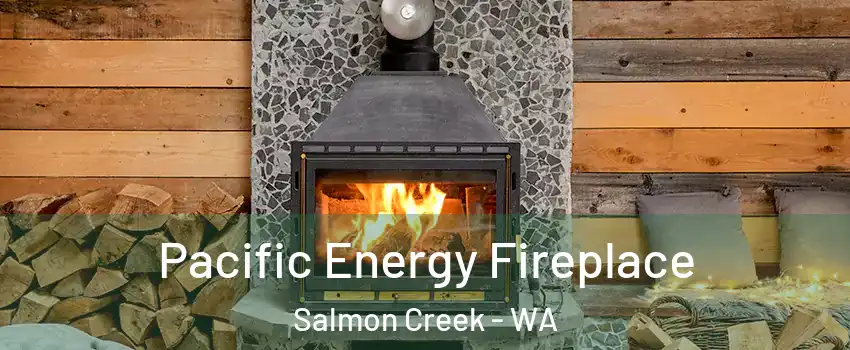  Pacific Energy Fireplace Salmon Creek - WA