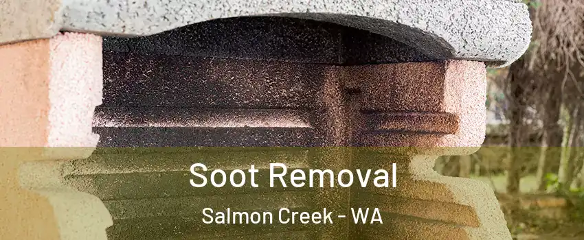  Soot Removal Salmon Creek - WA