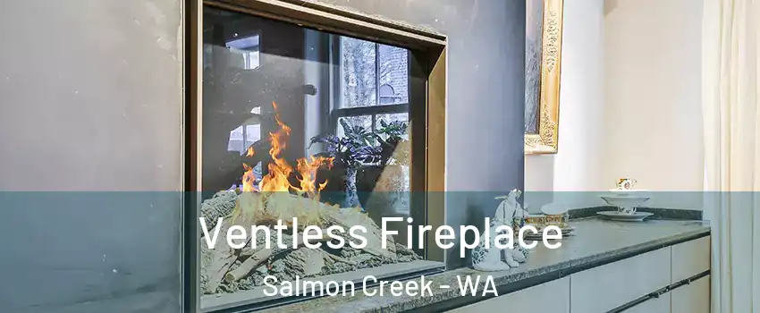  Ventless Fireplace Salmon Creek - WA